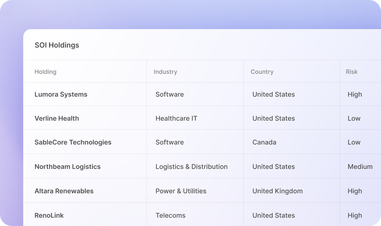 A table titled "SOI Holdings" lists companies, industries, countries, and risk levels. Industries vary from software to logistics, with risks from low to high.